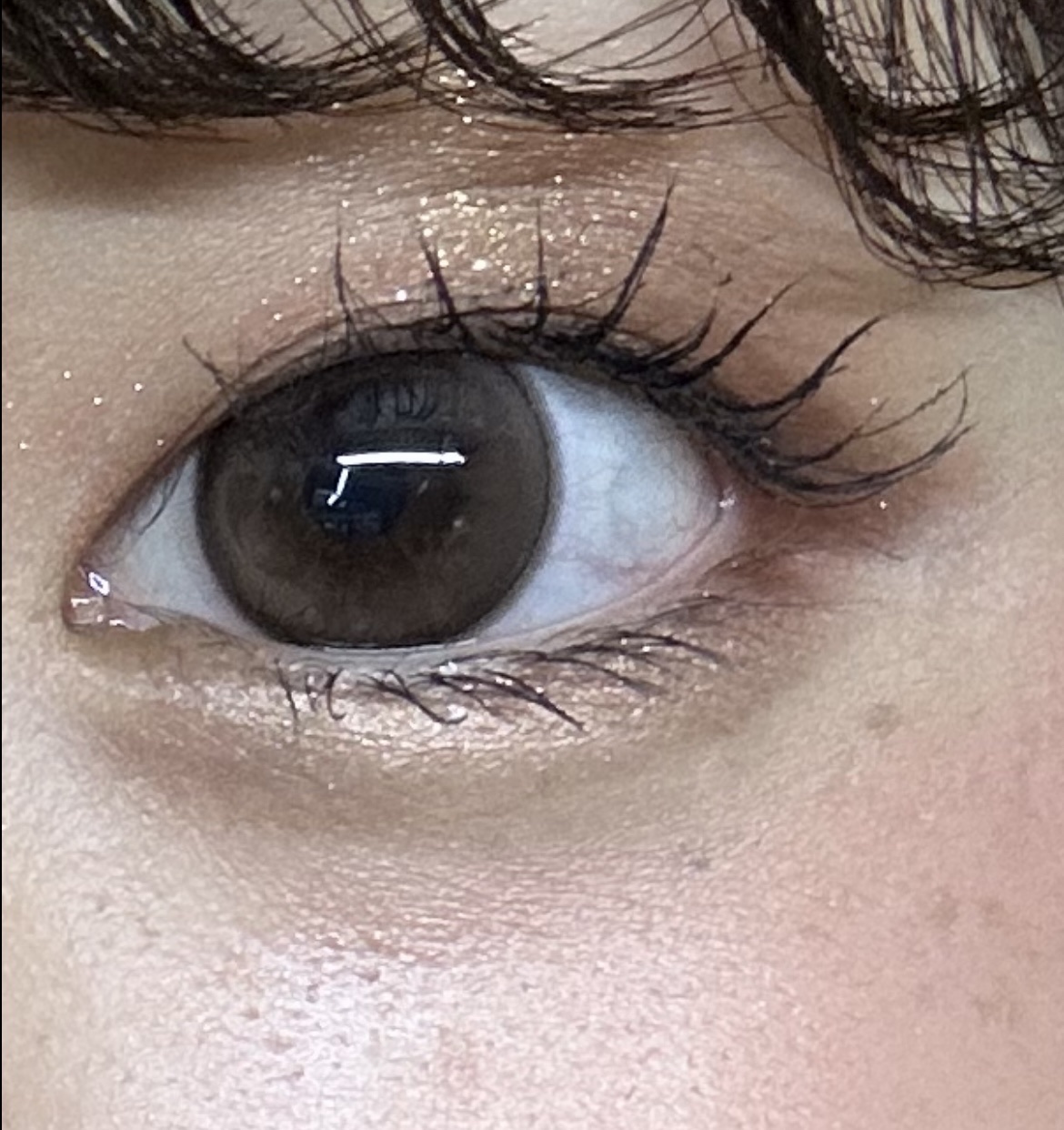 ウォンジョンヨ ヌードアイラッシュ/Wonjungyo/マスカラを使ったクチコミ（3枚目）