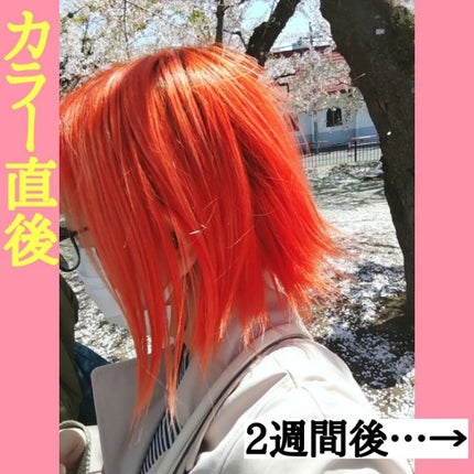 メイクアップカラー/ビューティーン/ヘアカラーを使ったクチコミ(2枚目)