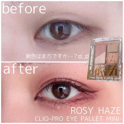 プロ アイパレット ミニ/CLIO/アイシャドウパレットを使ったクチコミ(1枚目)
