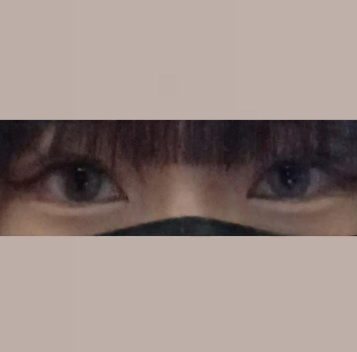 N’s COLLECTION 1day/N’s COLLECTION/ワンデー（１DAY）カラコンを使ったクチコミ（2枚目）