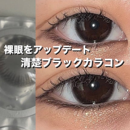 1DAY Refrear elebelle/Refrear/ワンデー(1DAY)カラコンを使ったクチコミ(1枚目)