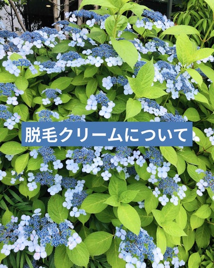 除毛クリーム シトラスホワイトリリィ/スリンキータッチ セルフスパ/除毛クリームを使ったクチコミ(1枚目)