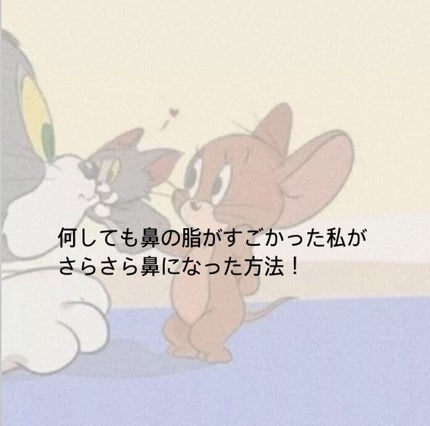 ノーセバム ミネラルパウダー/innisfree/ルースパウダーを使ったクチコミ(1枚目)