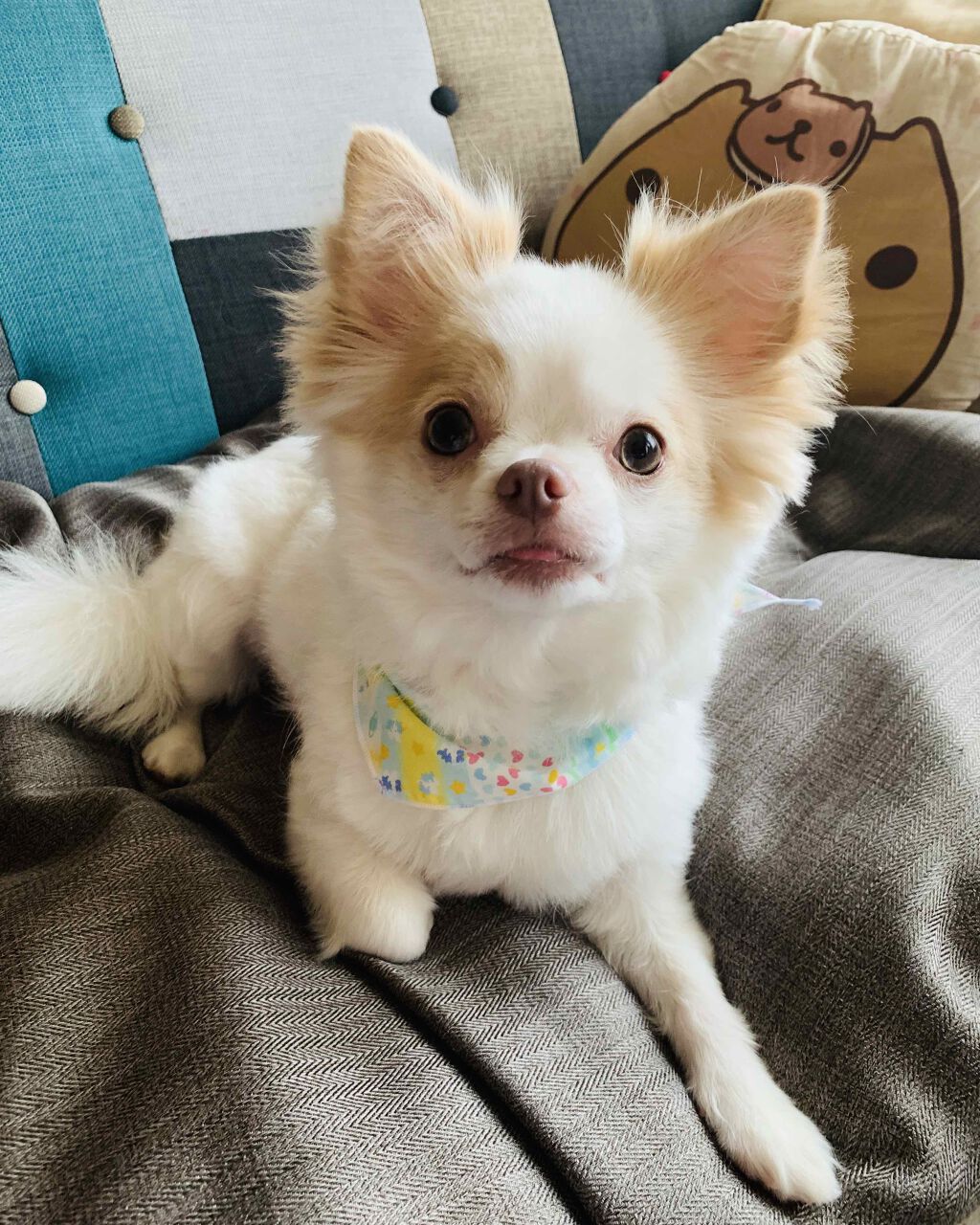 自己紹介/雑談/その他を使ったクチコミ（1枚目）