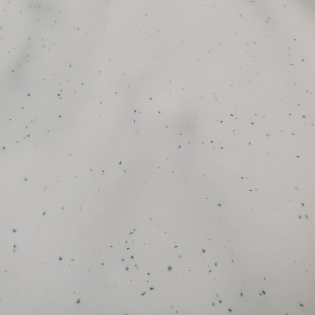 charley 薬用入浴剤ロウリュ ディープシーバスソーク スプラッシュフルーツ(GR)のクチコミ「薬用入浴剤ロウリュ ディープシーバスソーク スプラッシュフルーツ

パッケージに惹かれて購入し.....」（2枚目）