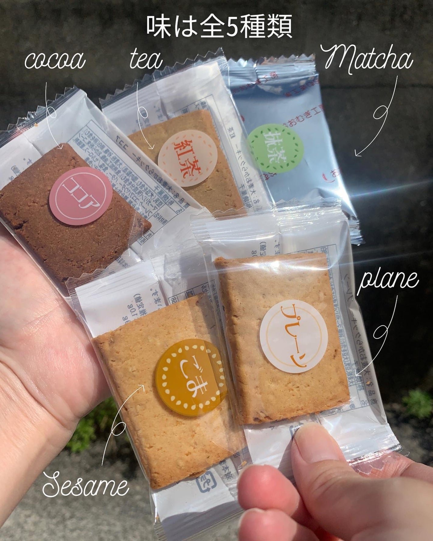 ぽち on LIPS 「ダイエット中に食べれるおやつ┈┈┈┈┈┈┈┈┈┈┈小麦を使わず..」(5枚目)