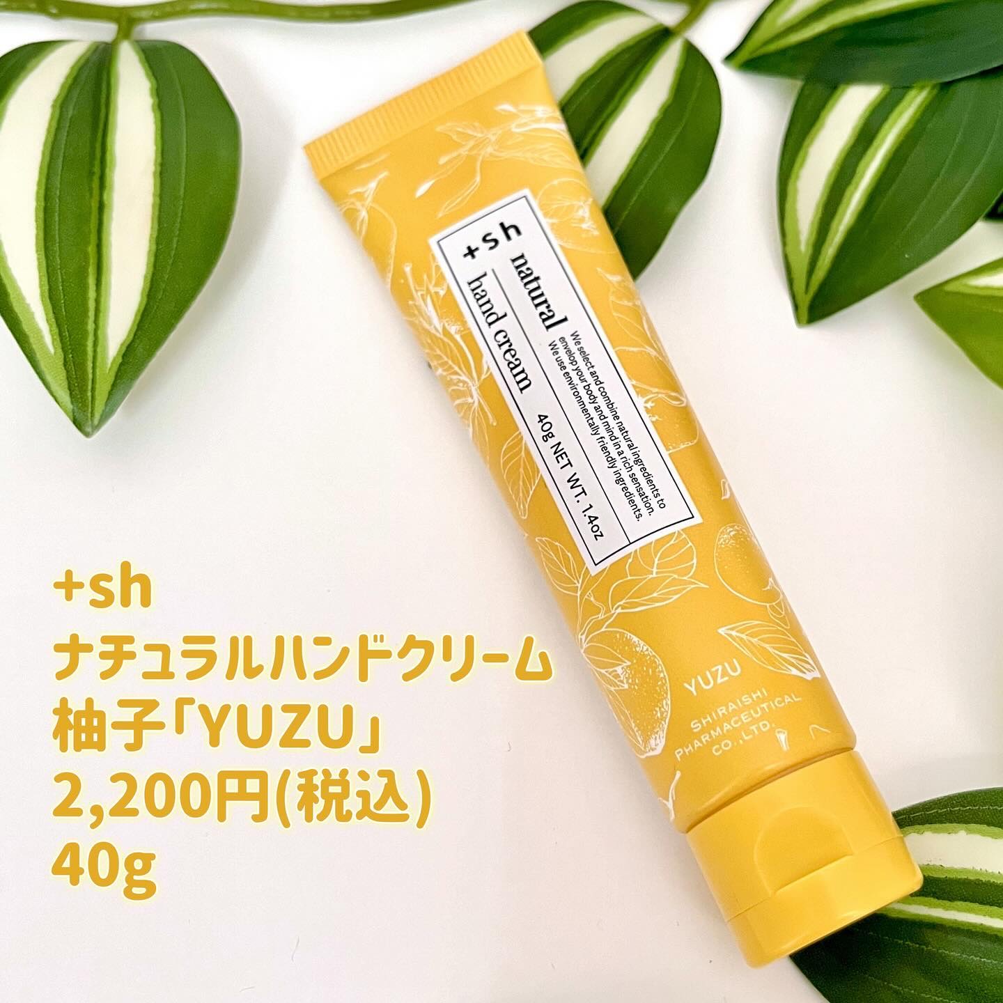 ＋shナチュラルハンドクリーム/＋sh/ハンドクリームを使ったクチコミ（2枚目）