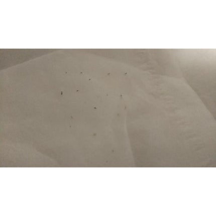 ハトムギ化粧水(ナチュリエ スキンコンディショナー R )/ナチュリエ/化粧水を使ったクチコミ(2枚目)