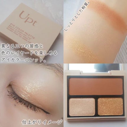 アイカラーパレット/Upt/アイシャドウパレットを使ったクチコミ(2枚目)