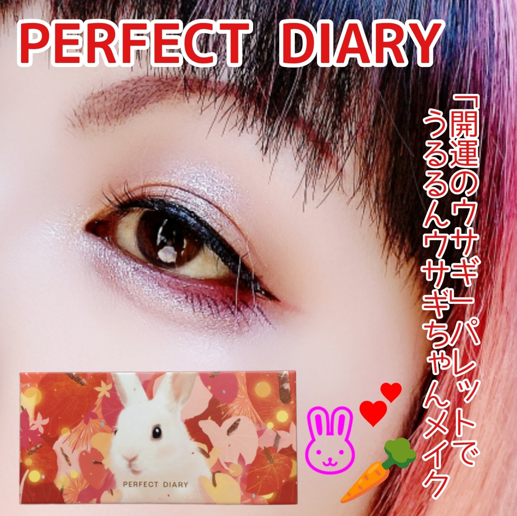 エクスプローラ12色 動物アイシャドウパレット/PERFECT DIARY/アイシャドウパレットを使ったクチコミ（1枚目）
