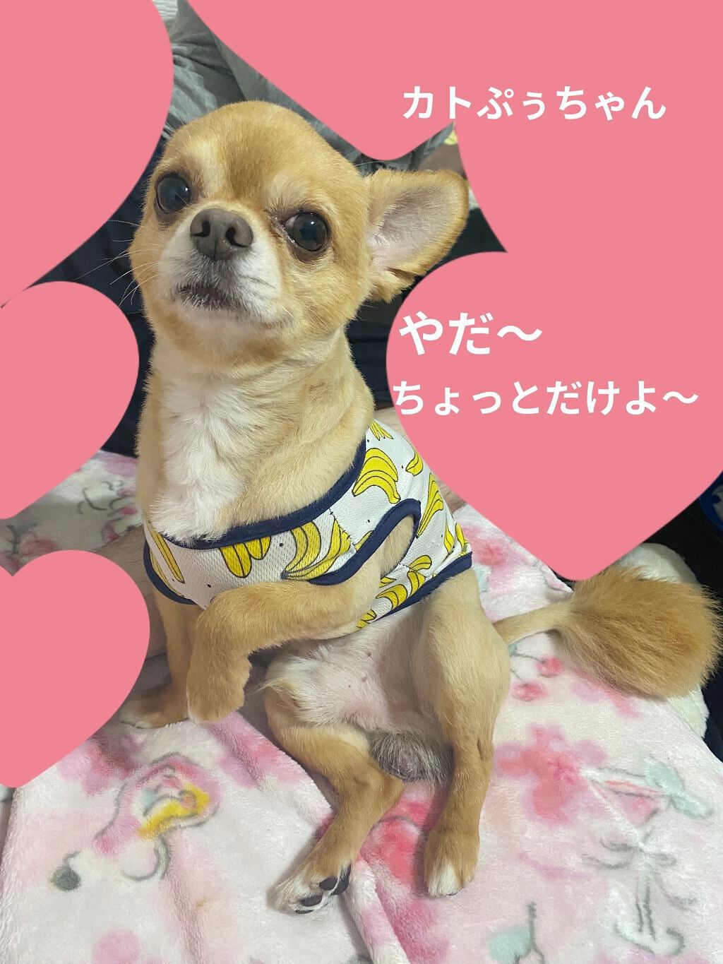 ぷぅぴぃ《紫コス部💜💗》 on LIPS 「🎉🎉🎉🎉2021年9月15日🎉🎉🎉🎉🎉🎉#かよんちゃん°.✧H..」(8枚目)