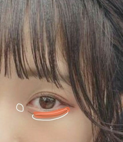 パーフェクトマルチアイズ/キャンメイク/アイシャドウパレットを使ったクチコミ(3枚目)