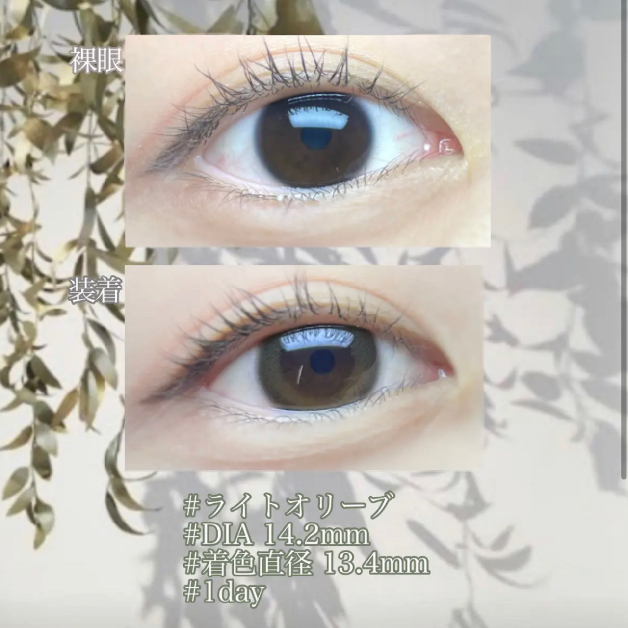 TeAmo 1DAY/TeAmo/ワンデー（１DAY）カラコンを使ったクチコミ（2枚目）