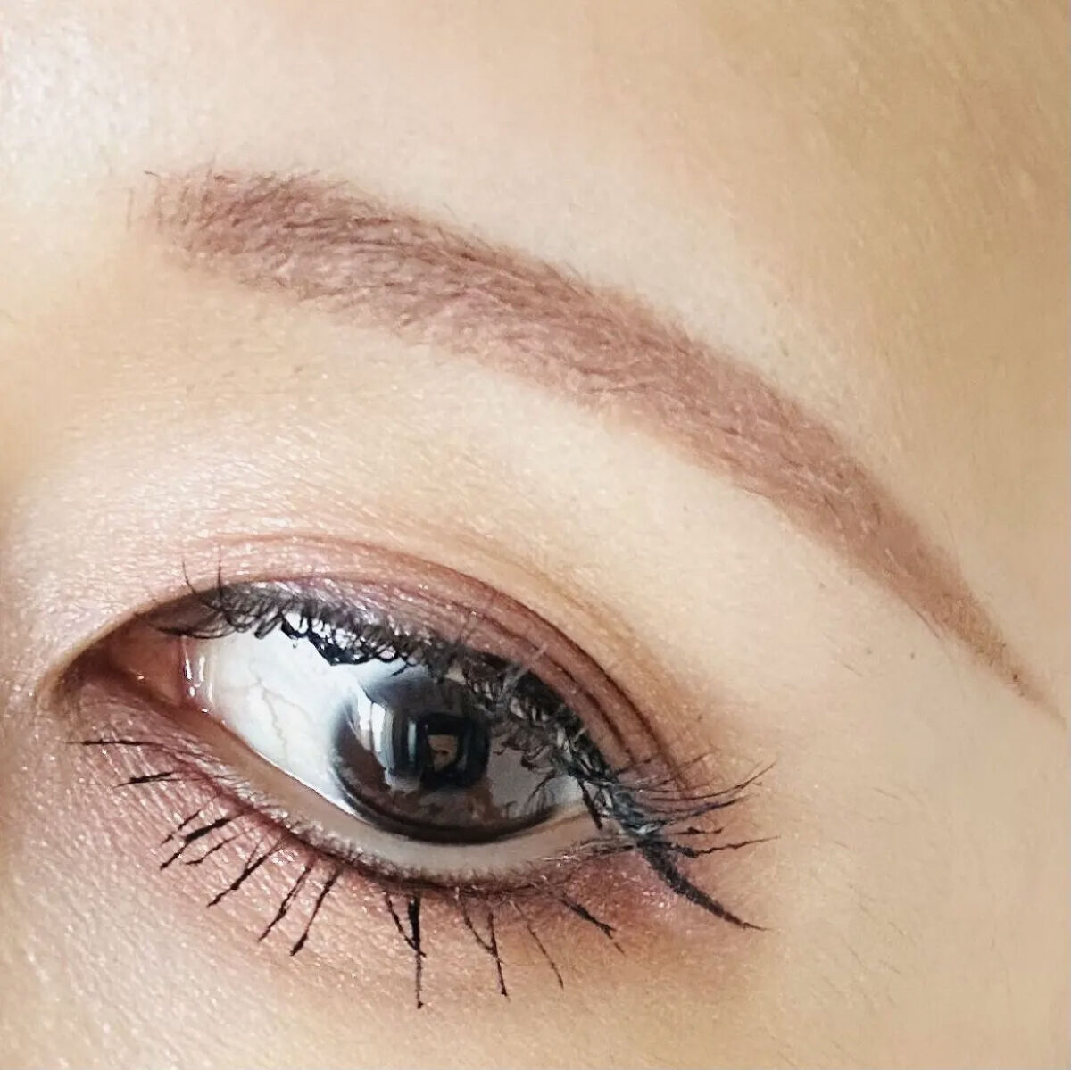 エレガンス エタンセル アルモニーアイズ/Elégance/アイシャドウパレットを使ったクチコミ（3枚目）