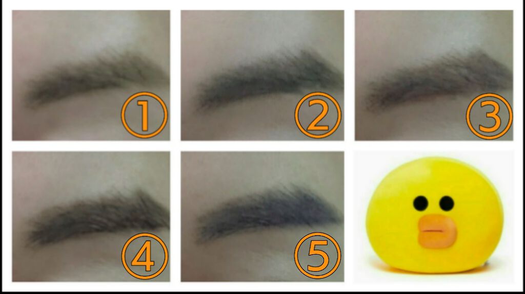 DAISO アイブロウペンシル 美眉革命のクチコミ「ダイソー、アイブロウペンシルＤ、
５色のレビューです😃

UR GLAMのアイブロウペンシルを.....」（3枚目）