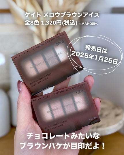 ケイト メロウブラウンアイズ/KATE/アイシャドウパレットを使ったクチコミ(10枚目)