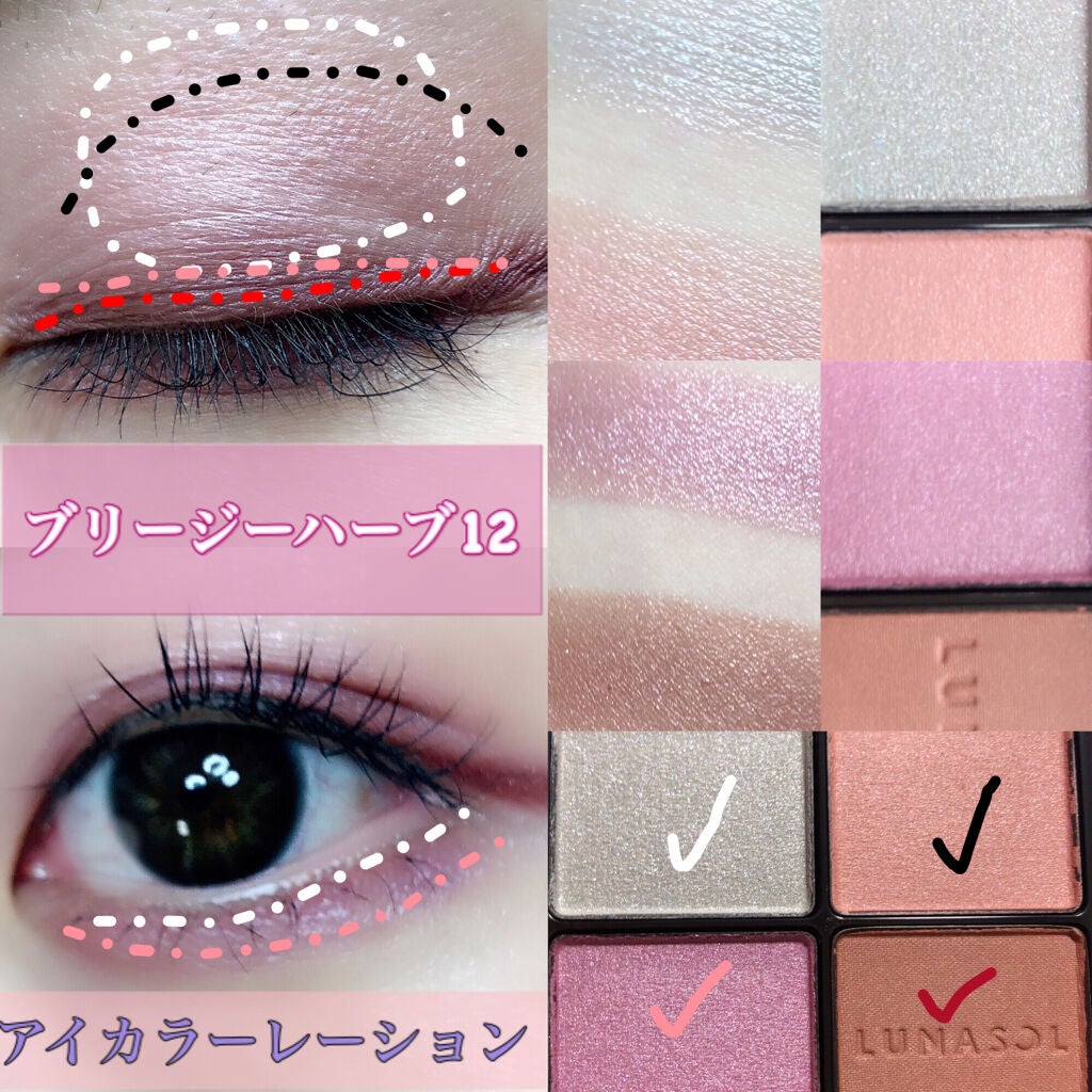 アイカラーレーション/LUNASOL/アイシャドウパレットを使ったクチコミ(2枚目)