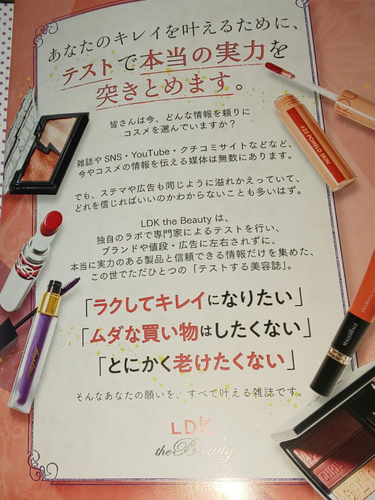 試してみた Ldk The Best Ldk The Beauty Lips