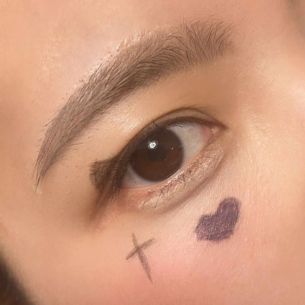 仕込みアイライナー /Fujiko/リキッドアイライナーを使ったクチコミ(5枚目)