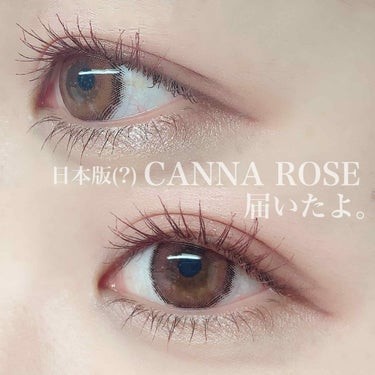 eye closet iDOL Series CANNA ROSE 1day/EYE CLOSET/ワンデー（１DAY）カラコンを使ったクチコミ（1枚目）