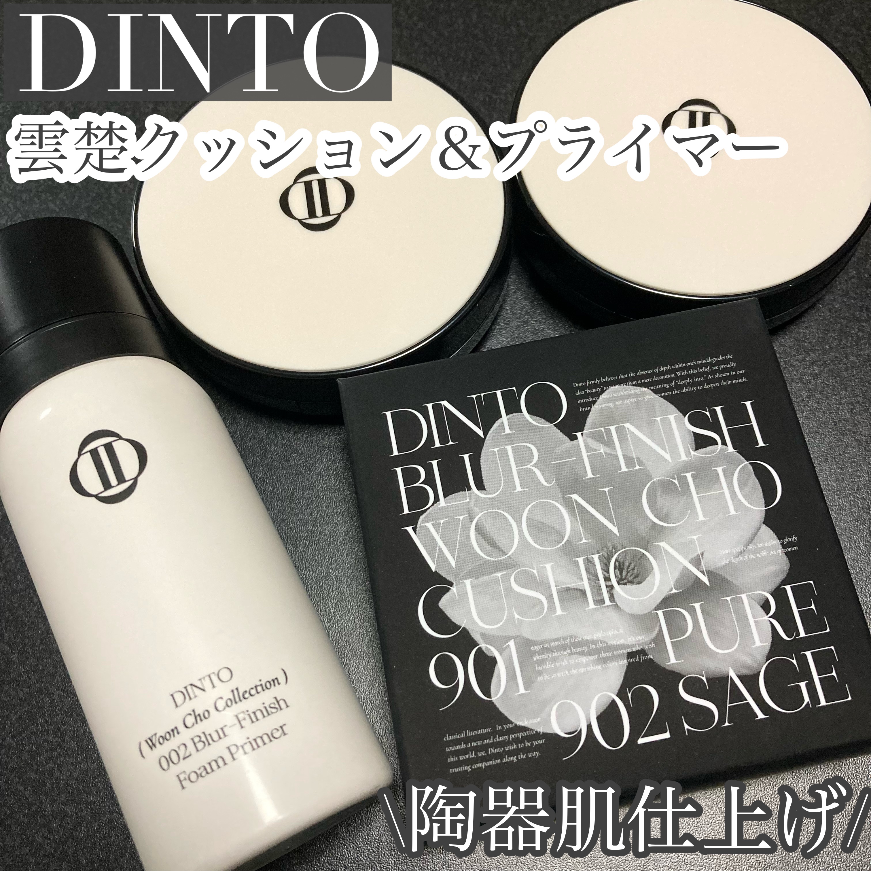 ブラーフィニッシュ雲楚クッション/Dinto/クッションファンデーションを使ったクチコミ（1枚目）
