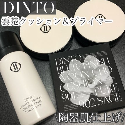 ブラーフィニッシュ雲楚クッション/Dinto/クッションファンデーションを使ったクチコミ(1枚目)