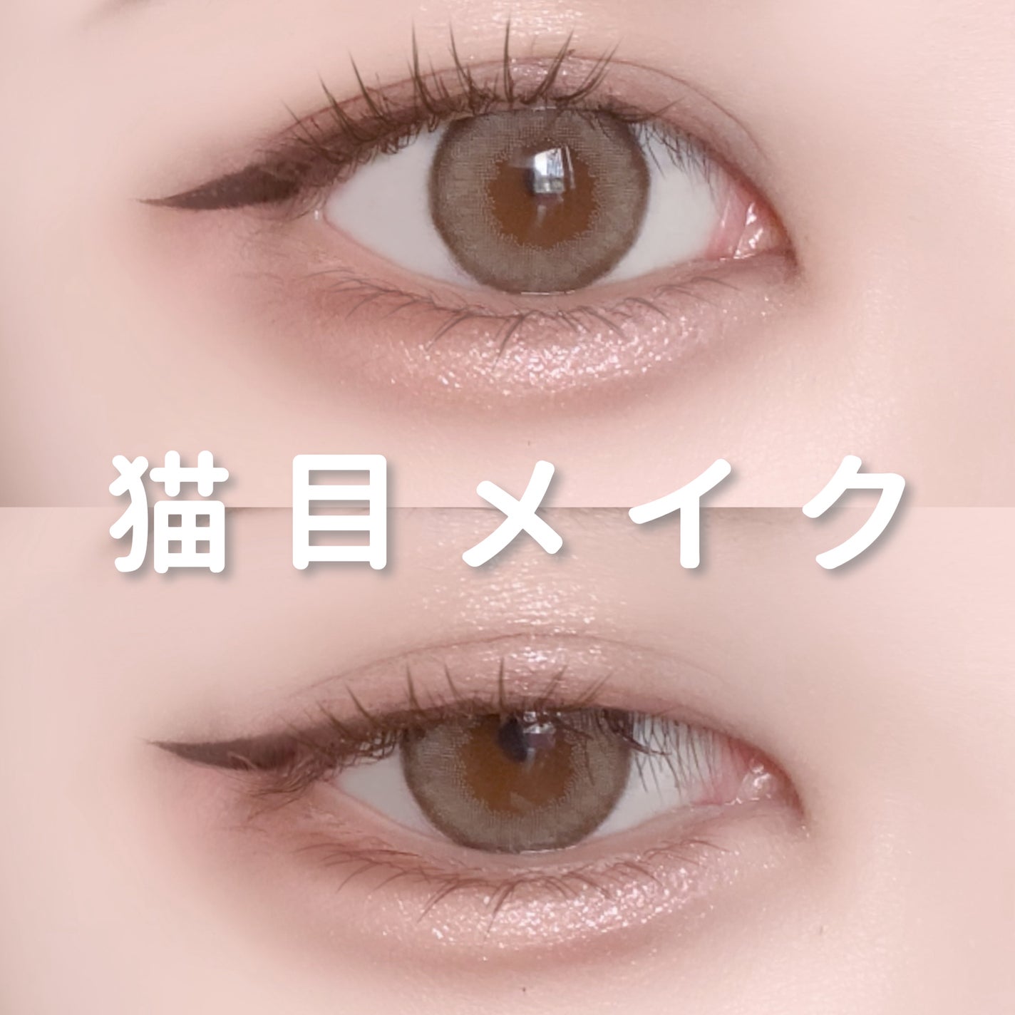 ポイントメイクアップブラシセット/ロージーローザ/メイクブラシを使ったクチコミ(1枚目)