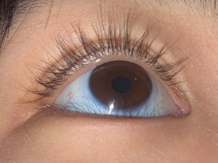 ラッシュジェリードロップ EX/MAJOLICA MAJORCA/まつげ美容液を使ったクチコミ(3枚目)