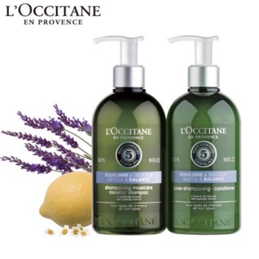 ファイブハーブス バランシングシャンプー／コンディショナー コンディショナー250ml/L'OCCITANE/シャンプー・コンディショナーを使ったクチコミ（1枚目）