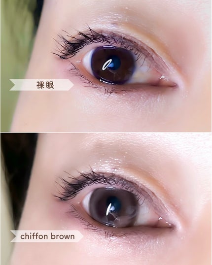 chiffon/meilly/ã¯ã³ããŒïŒïŒDAYïŒã«ã©ã³ã³ã䜿ã£ãã¯ãã³ãïŒ3æç®ïŒ