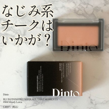 ブラーフィニシュブラッシャー/Dinto/パウダーチークを使ったクチコミ(1枚目)