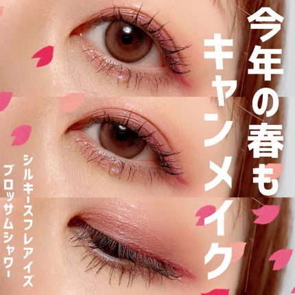 シルキースフレアイズ/キャンメイク/アイシャドウパレットを使ったクチコミ(1枚目)