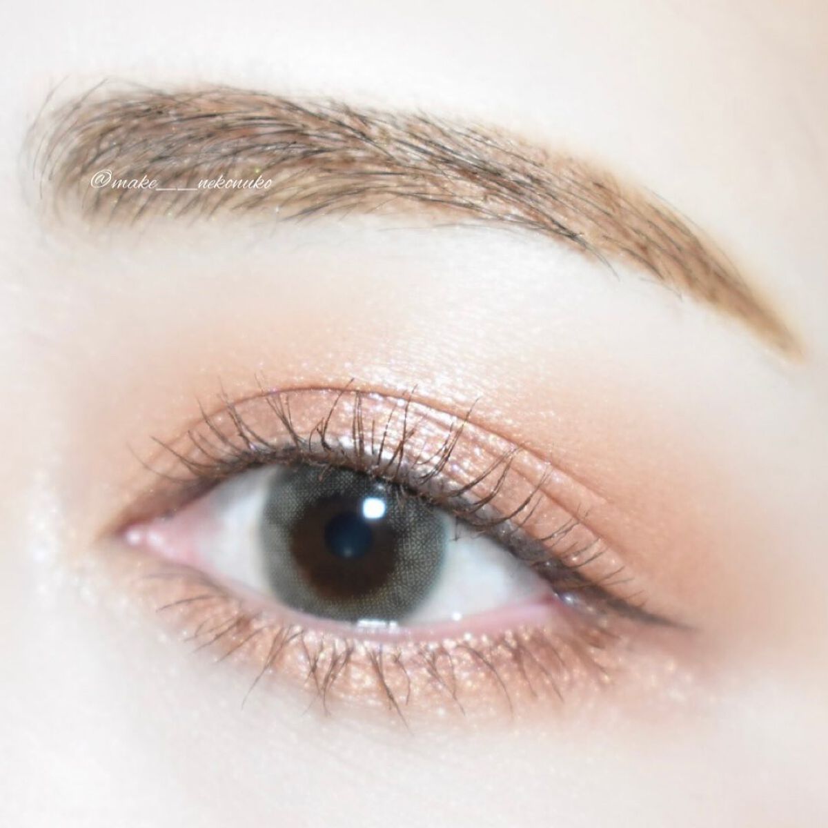 わんだふるアイカラー/KIREI FACTORY/アイシャドウパレットを使ったクチコミ（2枚目）