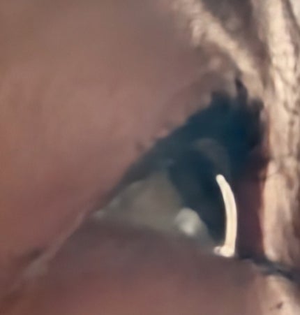 カラーステイ ルックス ブック パレット/REVLON/アイシャドウパレットを使ったクチコミ(4枚目)