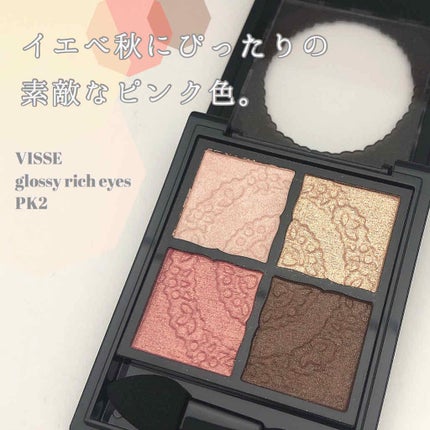 グロッシーリッチ アイズ/Visée/アイシャドウパレットを使ったクチコミ(1枚目)