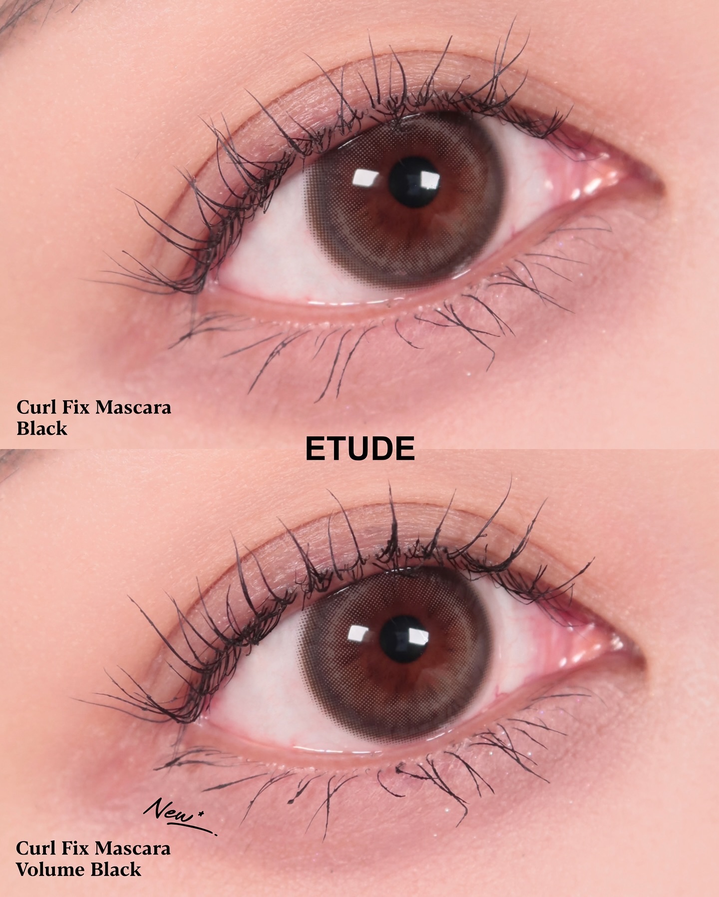 カールフィックスマスカラ/ETUDE/マスカラを使ったクチコミ（3枚目）