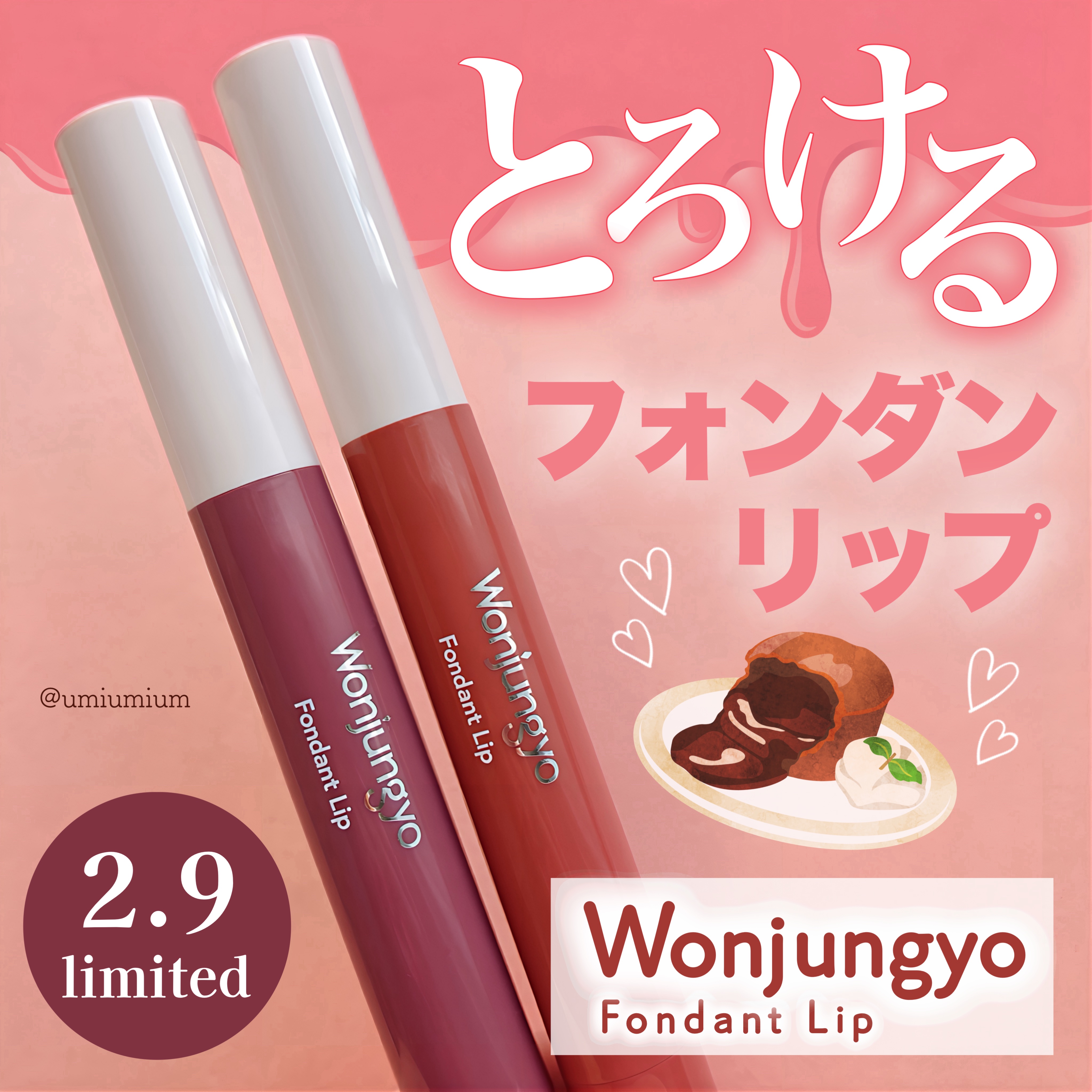 ウォンジョンヨ フォンダンリップ/Wonjungyo/口紅を使ったクチコミ（1枚目）