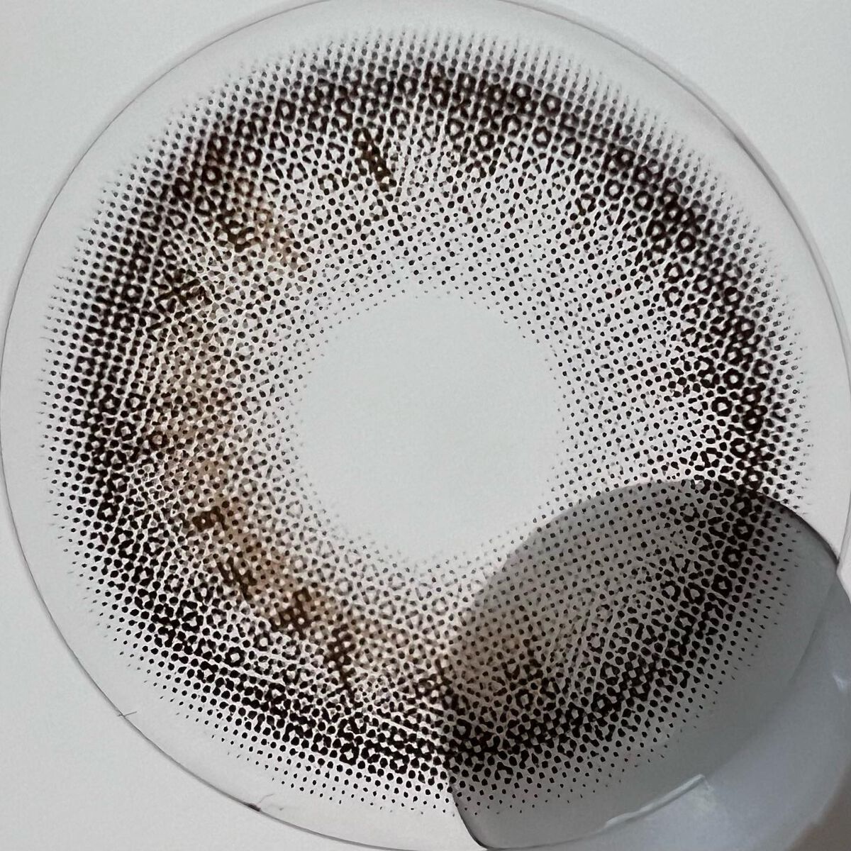 One & Only Kristin/Hapa kristin/カラーコンタクトレンズを使ったクチコミ(6枚目)