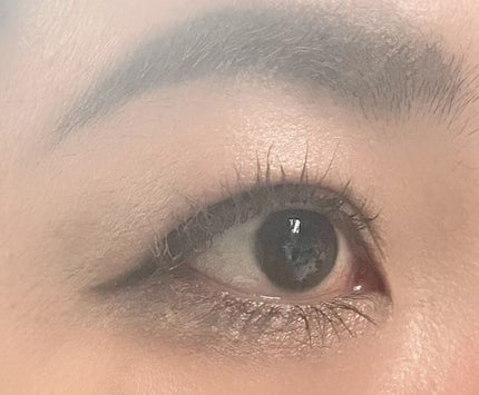 ヴィセ リシェ アイブロウパウダー/Visée/パウダーアイブロウを使ったクチコミ(2枚目)