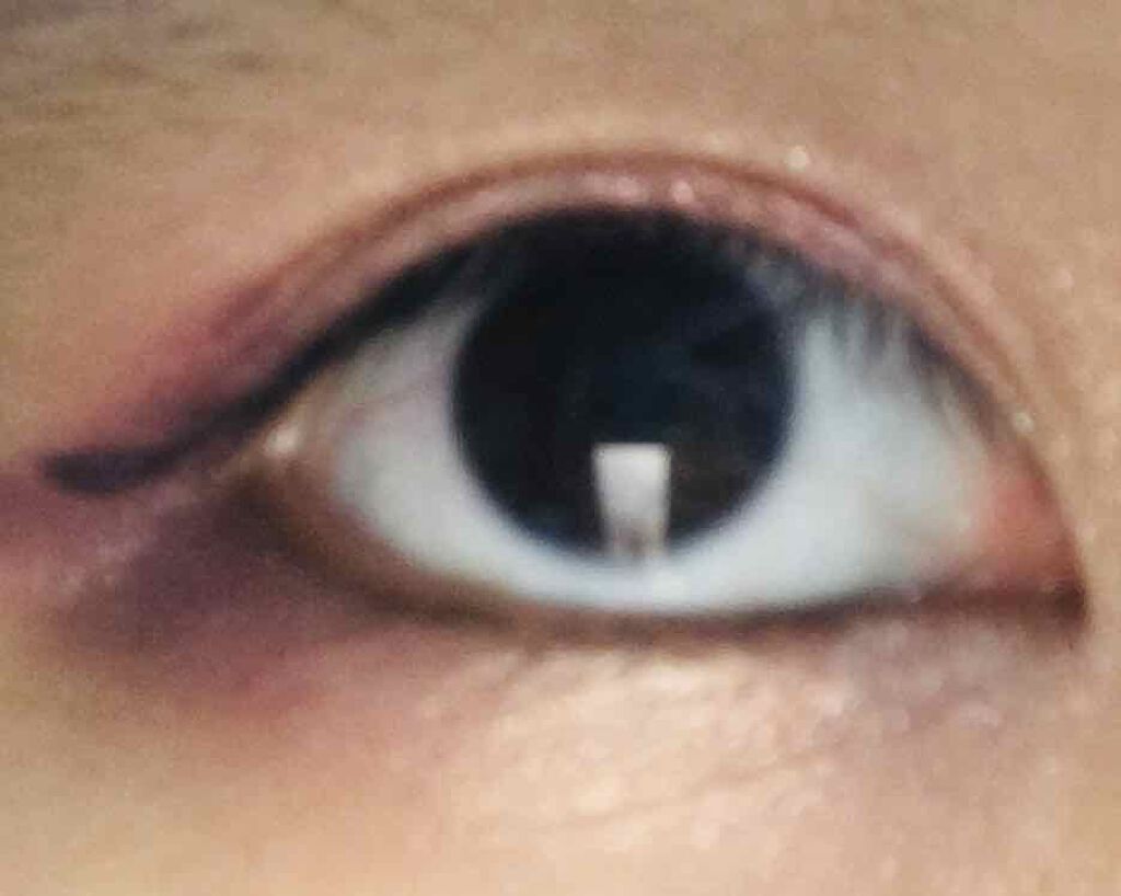 グラムグロー アイズ/Visée/アイシャドウパレットを使ったクチコミ(2枚目)