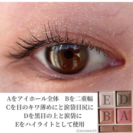 パノラマデザイン アイパレット/Visée/アイシャドウパレットを使ったクチコミ(3枚目)