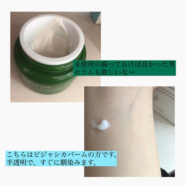 グリーンティーシード クリーム/innisfree/フェイスクリームを使ったクチコミ（2枚目）