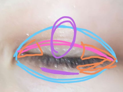 UR GLAM BLOOMING EYE COLOR PALETTE/U R GLAM/アイシャドウパレットを使ったクチコミ(3枚目)