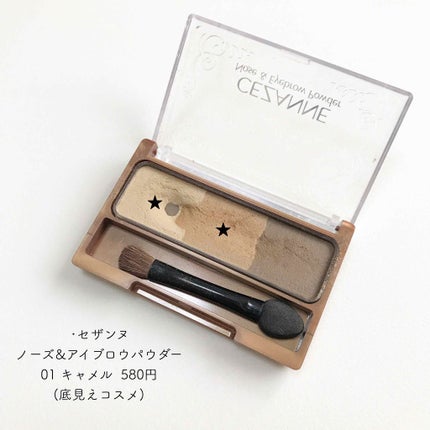 ノーズ&アイブロウパウダー/CEZANNE/パウダーアイブロウを使ったクチコミ(1枚目)