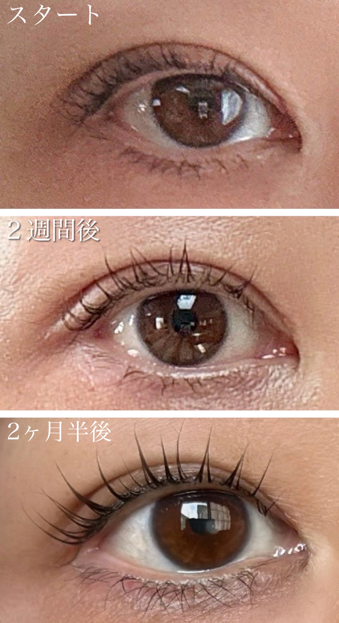 EMAKED（エマーキット）/水橋保寿堂製薬/まつげ美容液を使ったクチコミ（3枚目）