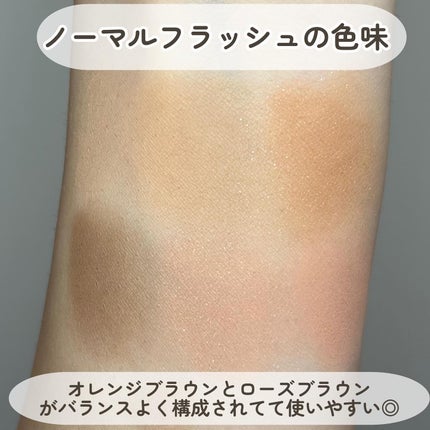 ブラーフィニシュシャドウパレット/Dinto/アイシャドウパレットを使ったクチコミ(5枚目)