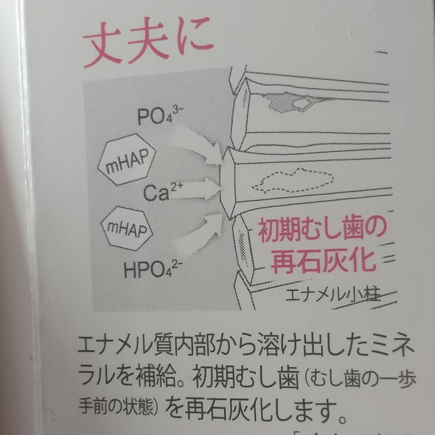 アパガードセレナ/アパガード/歯磨き粉を使ったクチコミ(5枚目)