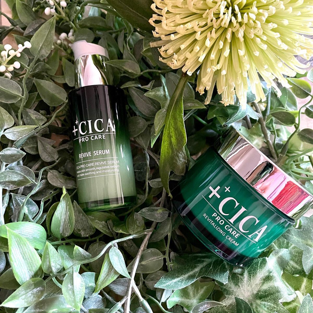 Shiho Arai on LIPS 「・・CICAPROCAREリバイタライジングクリーム&リバイブ..」(2枚目)