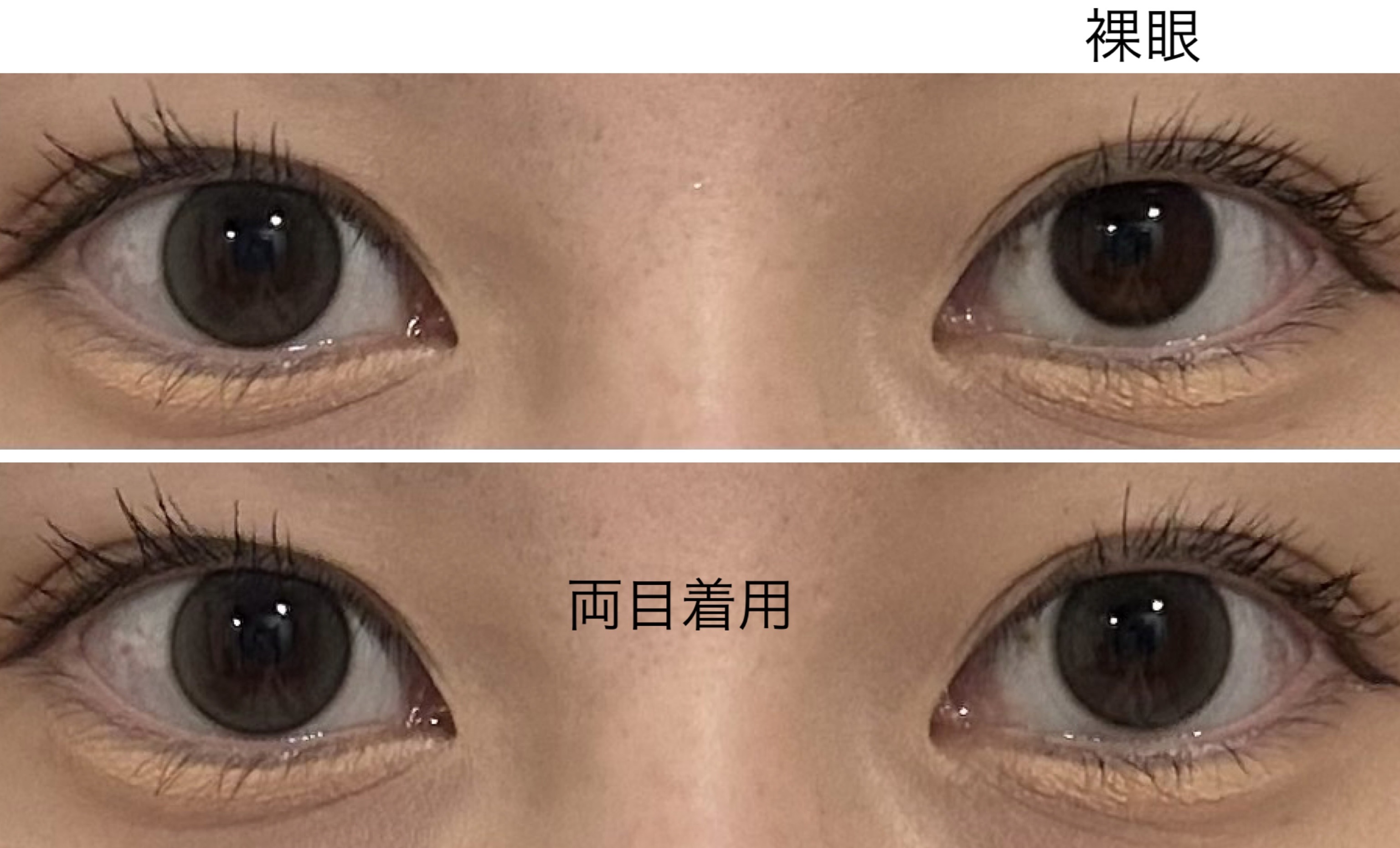 eye closet 1day View Rosetta/EYE CLOSET/ワンデー（１DAY）カラコンを使ったクチコミ（3枚目）