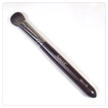 Ebony 05 Ancci brush